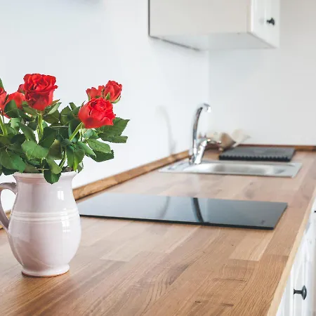 Apartmaji Aucin - Brda Apartment Kojsko