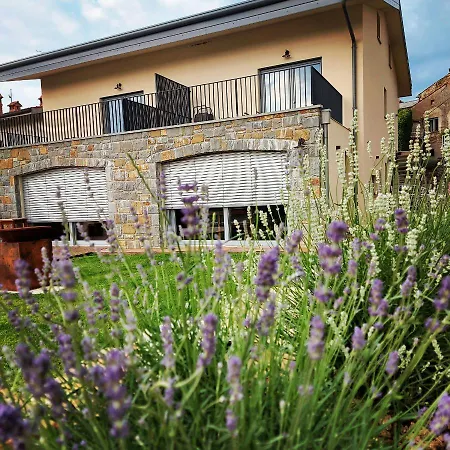 Apartmaji Aucin - Brda Kojsko