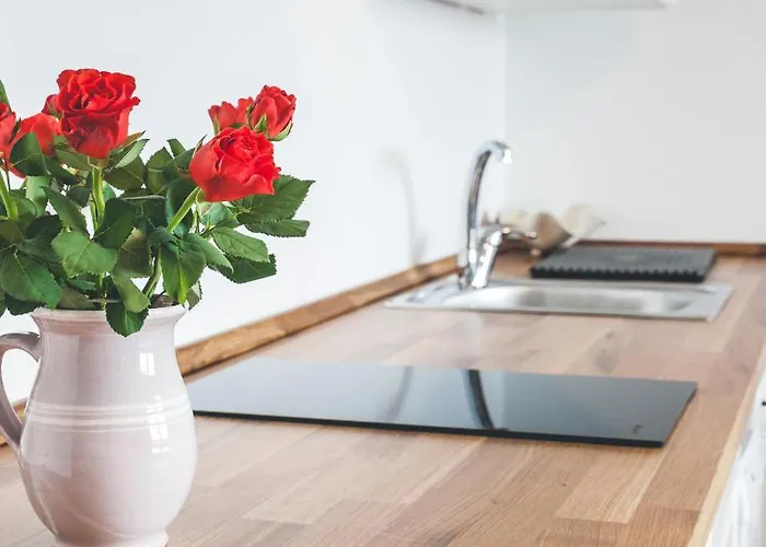 Apartmaji Aucin - Brda Apartament Kojsko