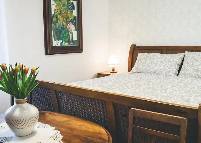 Apartmaji Aucin - Brda