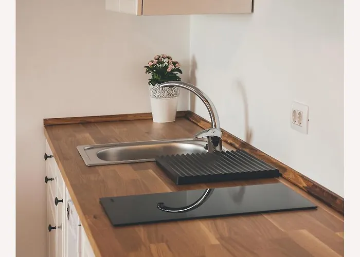 Apartmaji Aucin - Brda Kojsko