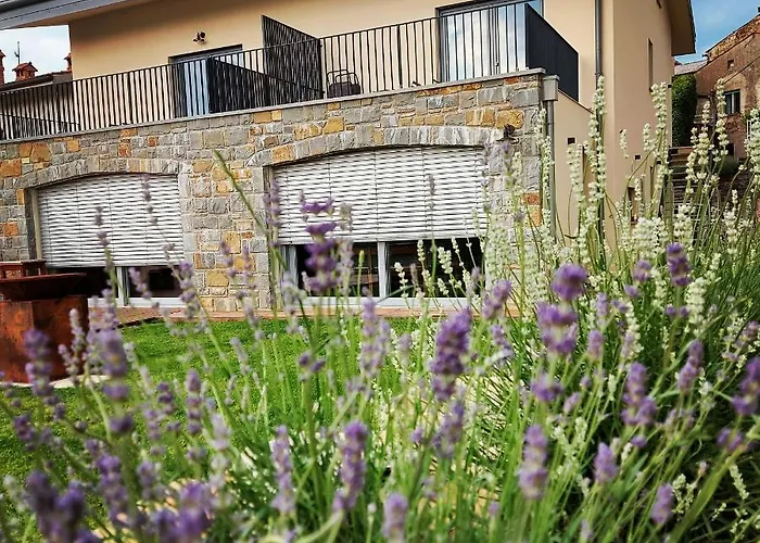 Apartmaji Aucin - Brda Kojsko